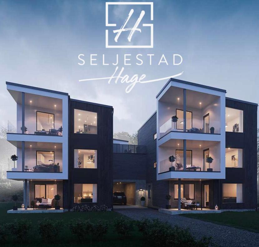 Veien Til Senja Apartment ฟินส์เนส ภายนอก รูปภาพ